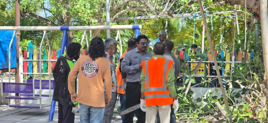 އަނެއްކާ ވެސް ވިލިމާލޭ ބަގީޗާތެރޭގައި ހުރި ގަހަކަށް ބަޔަކު ގެއްލުންދެނިކޮށް ހުއްޓުވައިފި