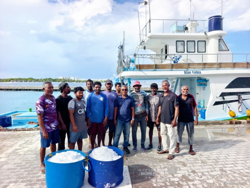 ކަނޑުއޮތްގިރިން މަސްވެރިންނަށް އައިސް ވިއްކަން ފަށައިފި