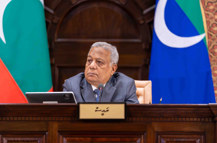 އަޅުގަނޑު ރިޔާސަތުގައި އިންދާ މަޖިލިސް "ޖަނަވާރުކޮށްޓަކަށް" ނުހެދޭނެ: ސަލީމް