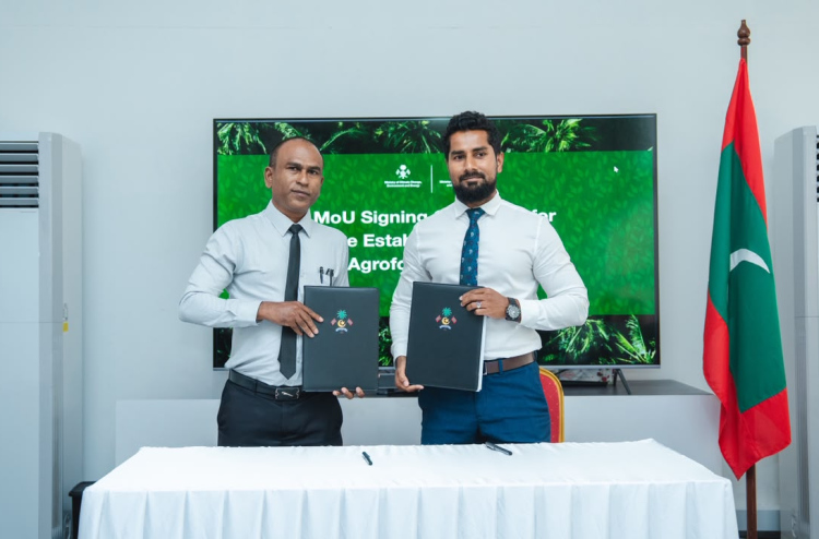 10 ރަށެއްގައި އެގްރޯފޮރަސްޓްރީ ދަނޑުތައް ހަދަނީ