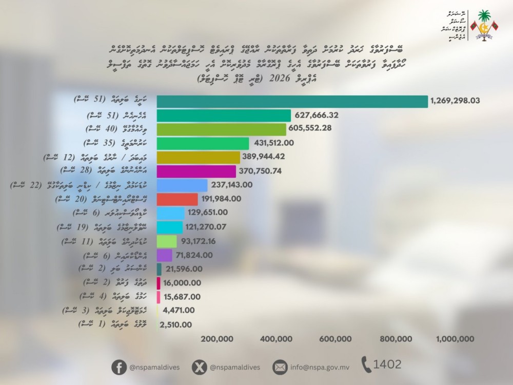 ޕްރައިވެޓް ހޮސްޕިޓަލުތަކުން ފަރުވާ ހޯދަން އޭޕްރީލް މަހު 8 މިލިއަން ރުފިޔާ