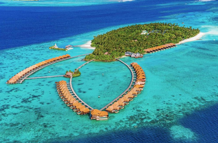 އެއްވެސް ރަށެއް ވިއްކާލާކަށް ނޫޅެން: އެމްޓީޑީސީ