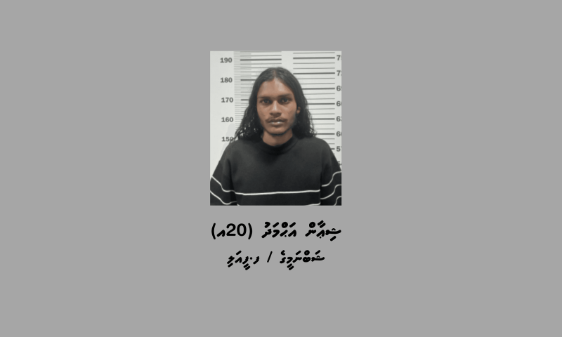 މަސްތުވާތަކެތި ކަމަށް ބެލެވޭ އެއްޗެއް ހުރި 26 ސެލޯފިންކޮޅާއެކު ޒުވާނަކު ހައްޔަރުކޮށްފި