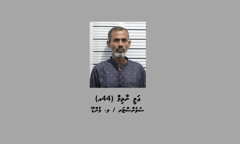 ތިންލައްކަ އަށްވުރެ ގިނަ ރުފިޔާ ހުރި ފޮއްޓެއް ވަގަށް ނެގި މީހަކު ހައްޔަރުކޮށްފި