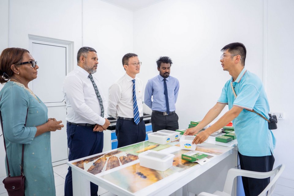 ރުކުމަޑިއަށް ހަމަލާދޭ ސޫފާސޫފި އާލާ ކުރުމަށް ސެންޓަރެއް ހުޅުވައިފި
