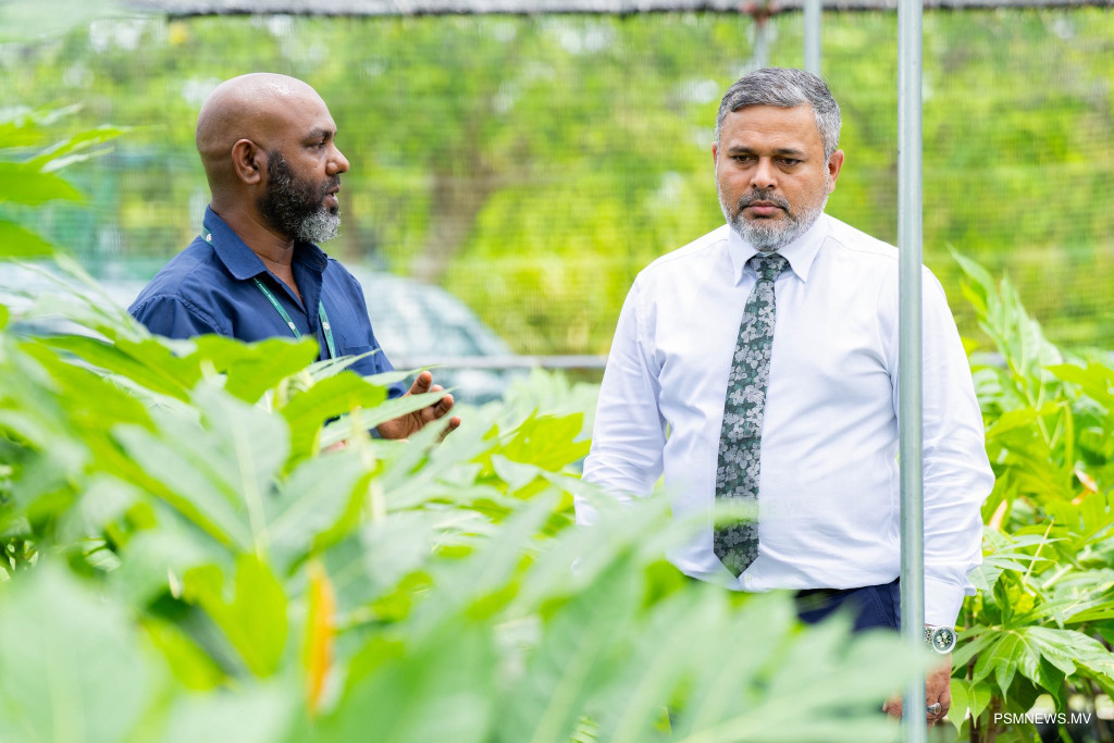 ރުކުމަޑި ނައްތާލާ ސޫފި: ދިވެހި ރުށްތަކަށް ކުރިމަތިވެފައިވާ ނުރައްކަލަށް މުހިންމު ހައްލެއް
