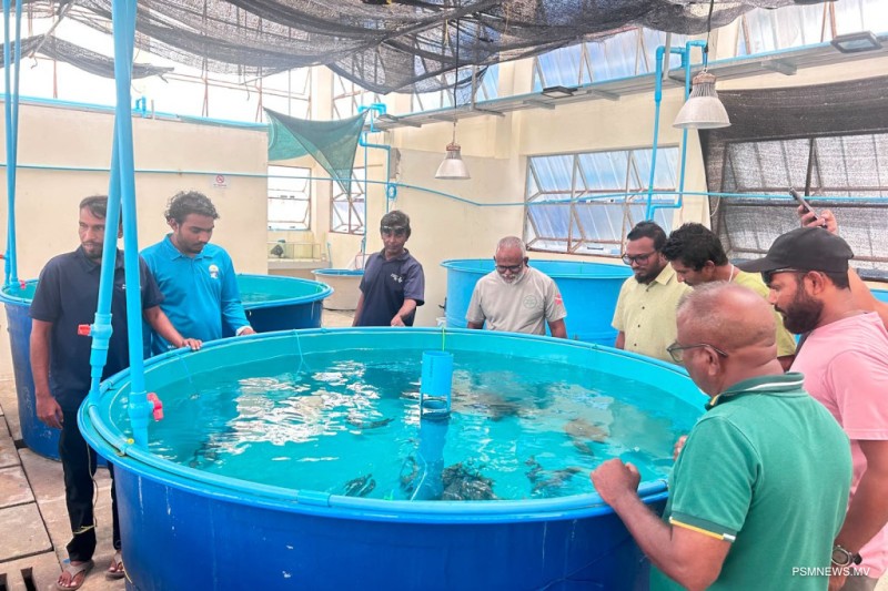 މެރިން ހެޗަރީ ޕްރޮގްރާމް: މިއަހަރުގެ ދެވަނަ ބުރުގެ ތަމްރީން ފަށައިފި