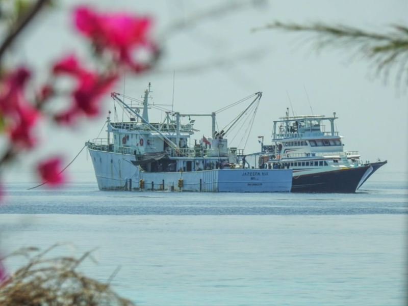 މިފްކޯއަށް މަސްކިރުވައިގެން މަސްދޯނިތަކަށް ކްރެޑިޓަށް ތެޔޮ އެޅޭނެ