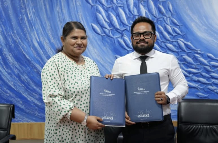 މިފްކޯ ސެންޓަރުތަކުން މަސްވެރިންނަށް ކްރެޑިޓަށް ތެޔޮ ލިބޭނެ އިންތިޒާމު ހަމަޖައްސައިފި