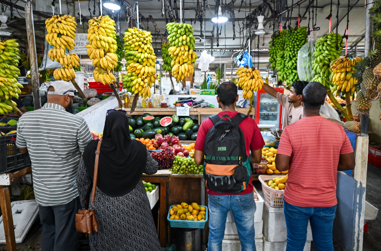 ލޯކަލް މާރުކޭޓް ތަރައްގީކުރަން ވަގުތީ މާރުކޭޓެއް ހަދައިދޭނެ ބަޔަކު ހޯދަނީ