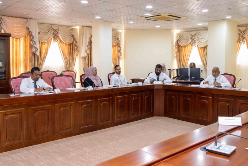 ކައުންސިލުތަކުގެ ބިން ސަރުކާރަށް ނެގޭ ބިލުގެ މަސައްކަތް ނިންމާ ތާރީޚު ފަސްކޮށްފި