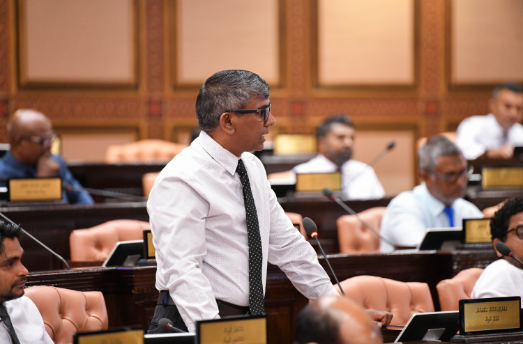 މަޝްރޫއުތައް ހިންގަން ކައުންސިލްތަކުގެ ބިންތައް ސަރުކާރަށް ނަގާ ބިލް ނިންމުން ދައުރުގެ އެންމެ ފަހު ދުވަހަށް