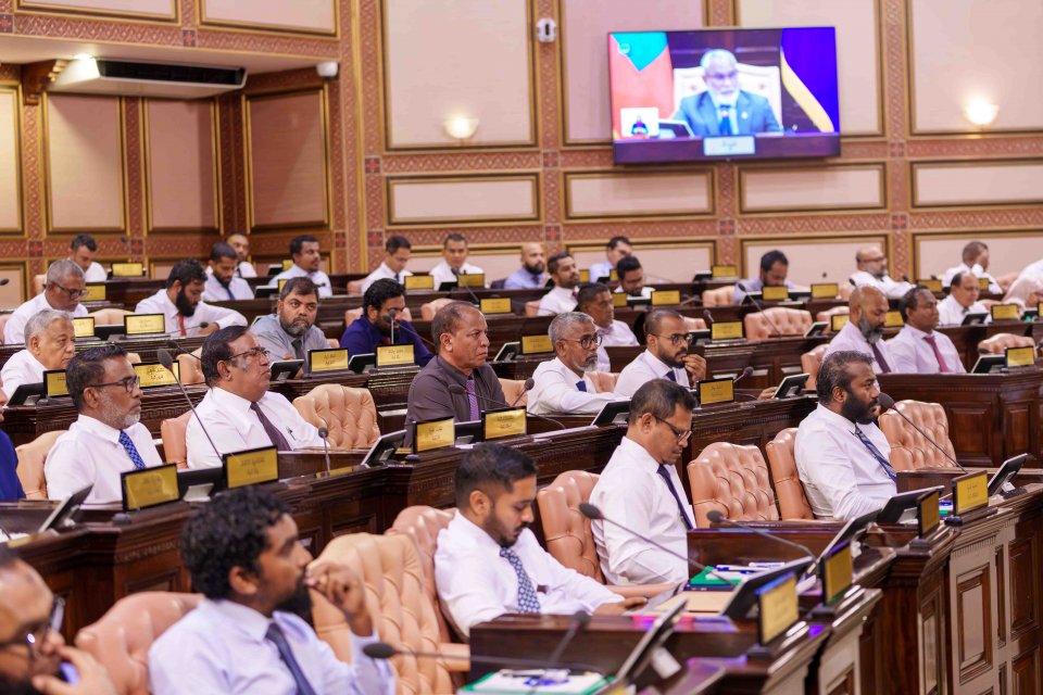 އެޗްއާރްސީއެމްގެ މެންބަރުކަމަށް 2 ބޭފުޅެއްގެ ނަން މަޖިލީހަށް ހުށަހަޅައިފި