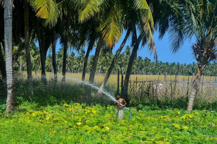 އެގްރޯނެޓަށް 2.5 މިލިއަން ރުފިޔާގެ ހިލޭ އެހީ ލިބުނުއިރު ވެސް، ގެއްލުން 34.4 މިލިއަނުގައި