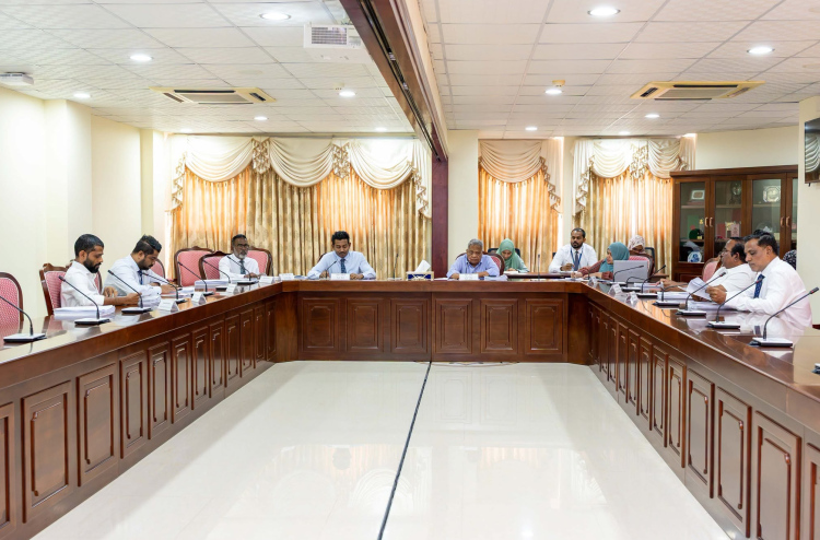 އަގުބޮޑުކޮށް ބޭރު ފައިސާ ގަނެވިއްކުމާއި އެކަން އިޝްތިހާރުކުރުމުން މިލިއަން ރުފިޔާއިން ޖޫރިމަނާކުރެވޭ ގޮތް ހަދަނީ