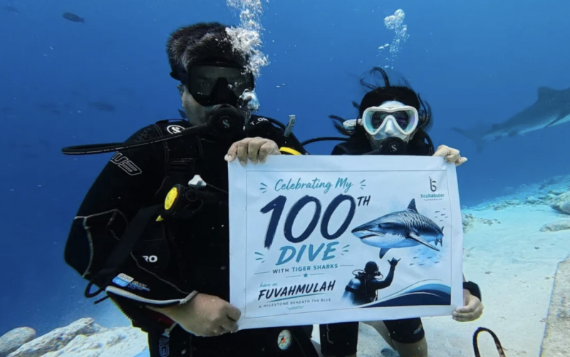 100 ވަނަ ޑައިވް، ދަރިފުޅާއެކު ފުވައްމުލަކުގައި ފުރިހަމަކޮށްފި