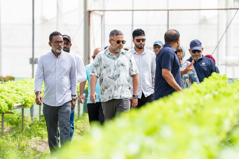 މިނިސްޓްރީއާއެކު ދަނޑު ހެއްދުމަށް ރަށްރަށަށް ފުރުސަތެއް؛ ރަށު ކައުންސިލަށް ނަފާ ލިބޭނެ