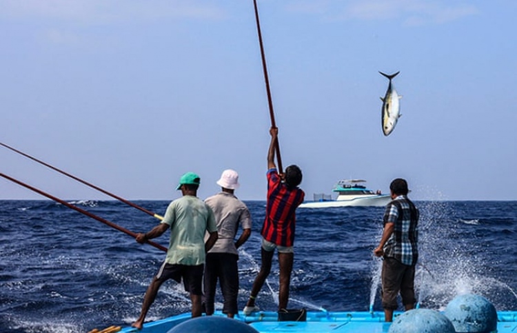 އެލްނީނޯގެ ސަބަބުން ކުރިއަށް އޮތް ތިން މަހު ވެސް ރާއްޖެ އަށް ހޫނުގަދަވާނެ ކަމަށް ލަފާކޮށްފި