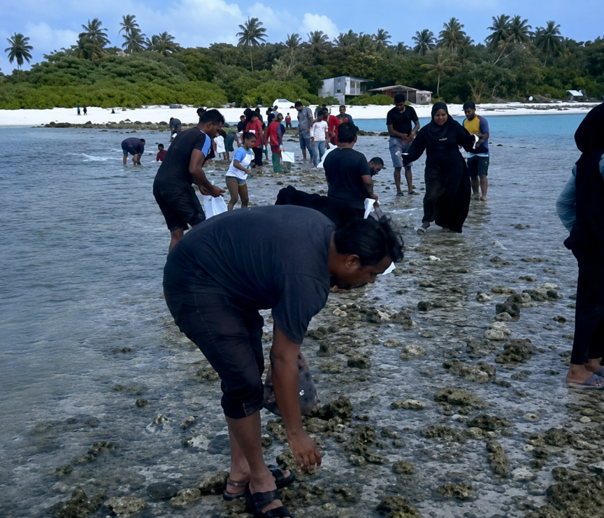 ފުނަދޫ މީހުން ތޮށިމަތިން މުށިމަސް ހޮވަނީ، ރަށަށް އީދެއް