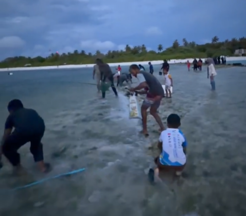 ފުނަދޫ މީހުން ތޮށިމަތިން މުށިމަސް ހޮވަނީ، ރަށަށް އީދެއް
