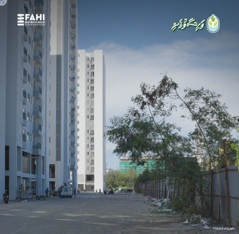 އަމާން އުދަރެސް ޓަވަރުން ވެއްޓުނު ކުއްޖާގެ ހާލު ރަނގަޅު