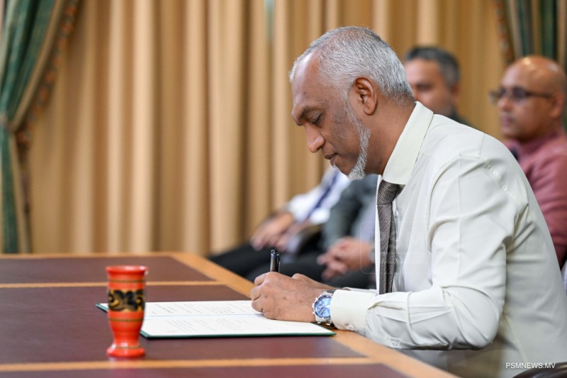 "ބިލުތައް ތަޞްދީޤުކުރަނީ ފުޅާ ދާއިރާއެއްގައި ފަންނީ ދިރާސާ ކުރުމަށްފަހު"