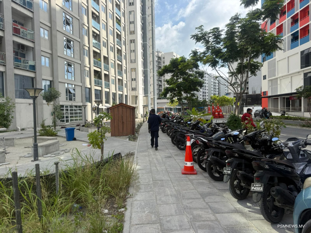 ޤާނޫނާ ޚިލާފަށް އުޅަނދު ދުއްވާ ފަރާތްތަކަށް ބޮޑެތި ޖޫރިމަނާތަކެއް!