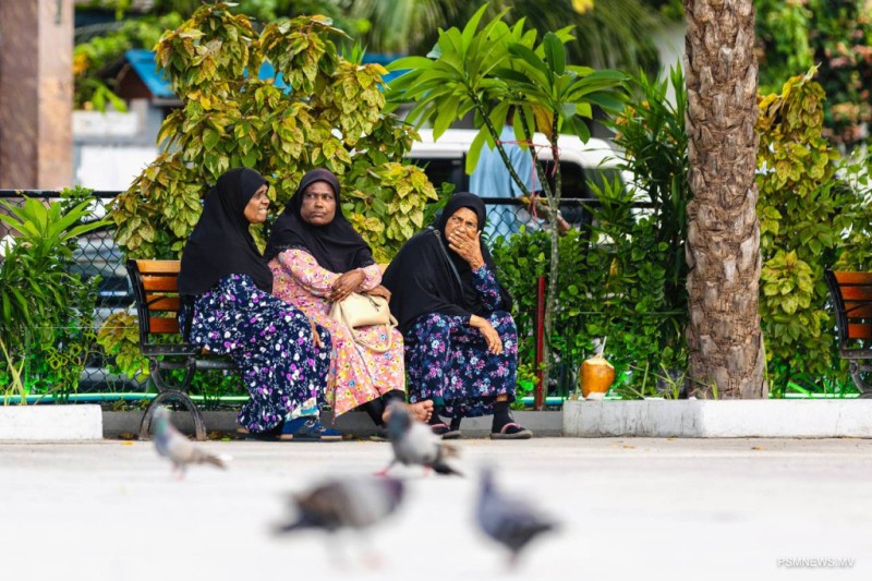 ޕެންޝަންގެ ގޮތުގައި މިދިޔަ މަހު 173.36 މިލިޔަން ރުފިޔާ ދޫކޮށްފި
