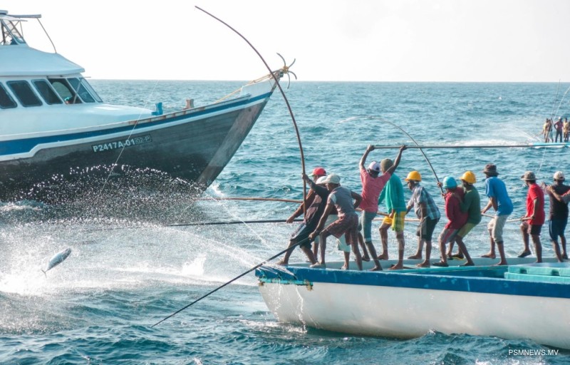 މިދިޔަ މަހުގެ ނިޔަލަށް މަސްވެރިންނަށް 14.5 މިލިޔަން ރުފިޔާގެ ލޯނު ދޫކުރި