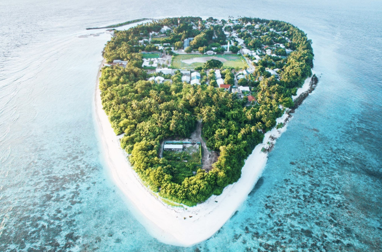 ހޯކްސްގެ ފިއުލް ސްޓޭޝަނެއް ފ. ބިލެއްދުއަށް