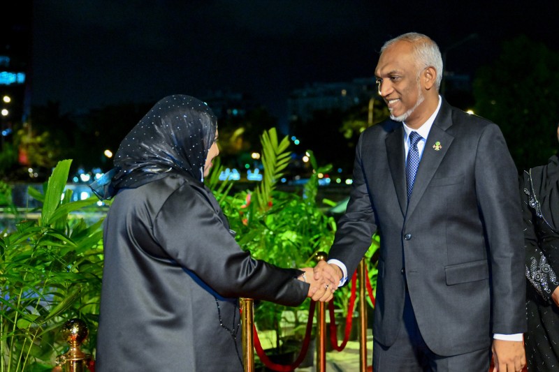 ދިވެހި ގައުމިއްޔަތު އޭގެ ހައްގު މަގާމަށް ގެނައުމަށް ބުރަ މަސައްކަތްތަކެއް އެބަ ކުރެވޭ: ހީނާ