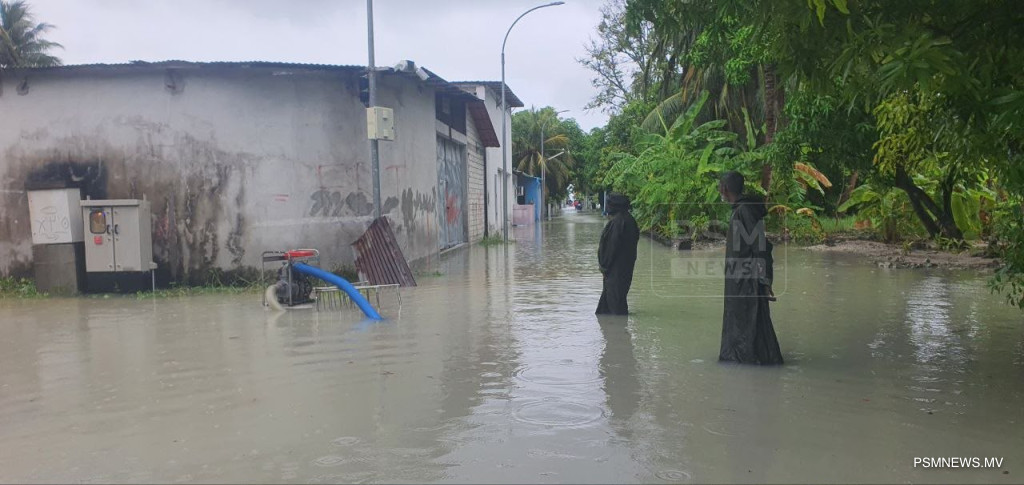 ދަންވަރާ ހަމައަށް ގއ.އިން އައްޑޫސިޓީއަށް ހުދު ސަމާލު