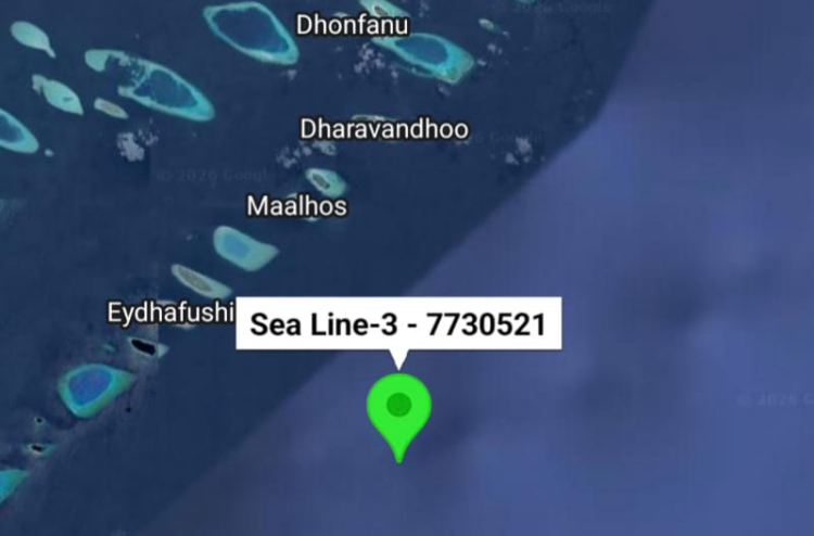 ލަކުޑި ބަރުކޮށްގެންދިޔަ ދޯންޏެއް އަރިއަޅާލައި ކާށިދޫ ކަނޑަށް ދިޔަވަނީ
