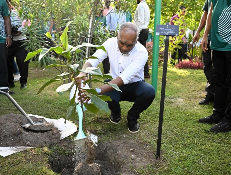 5 މިލިޔަން ގަސް ޕްރޮގްރާމް: 2 މިލިޔަން ގަސް އިންދައިފި
