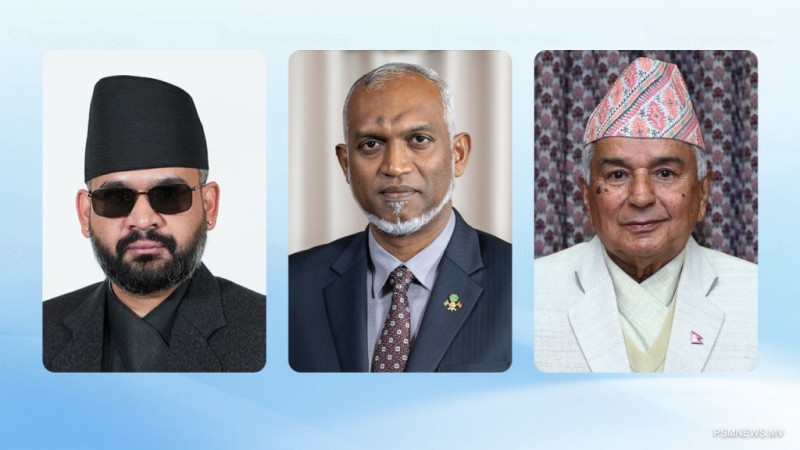 ނޭޕާލުގެ ޤާނޫނުއަސާސީ ދުވަހުގެ ތަހުނިޔާ ރައީސް ފޮނުއްވައިފި