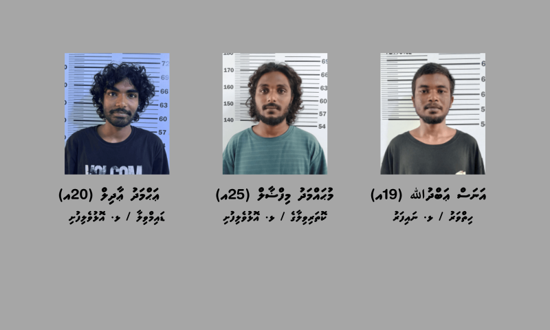މަސްތުވާތަކެތި ކަމަށް ބެލެވޭ 43 ކަރުދާސްކޮޅު ހޯދައި، 3 ޒުވާނުން ހައްޔަރުކޮށްފި