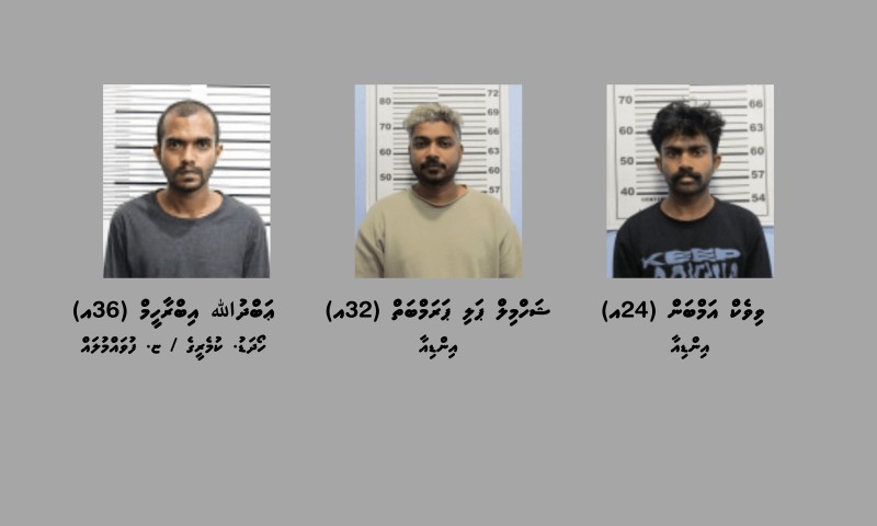 ރާއްޖެ އެތެރެކުރަން އުޅުނު 3.3 ކިލޯގެ މަސްތުވާތަކެތި އަތުލައިގަތް މައްސަލައިގައި ތިން މީހަކު ހައްޔަރުކޮށްފި