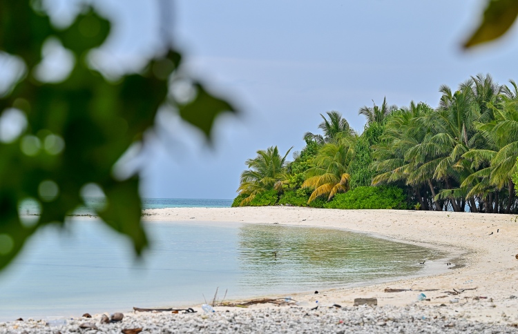 ވަންދޫގައި ސިހުރު ހަދާކަމުގެ ތުހުމަތަށް މީހަކު ހައްޔަރުކޮށްފި