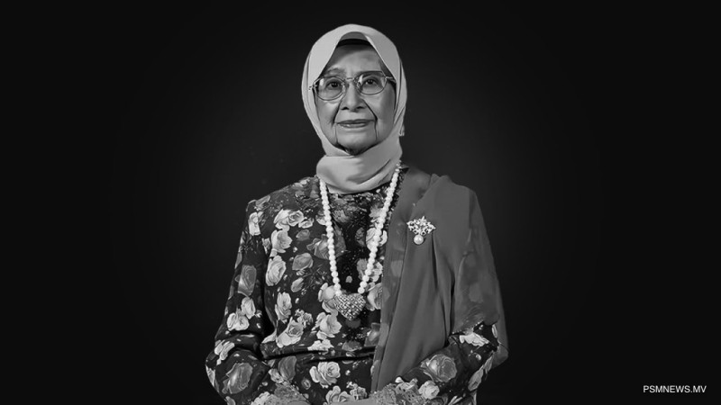 ޑރ. މަހާތިރުގެ އަނބިކަނބަލުން އަވަހާރަވުމާއި ގުޅިގެން ރައީސްގެ ތަޢުޒިޔާ