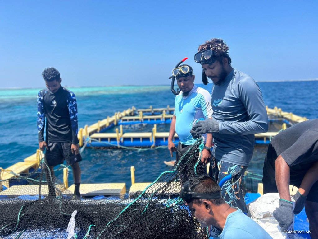 މެރިން ހެޗަރީ ޕްރޮގްރާމުގެ މިއަހަރުގެ 4ވަނަ ބުރަށް ހުޅުވާލައިފި
