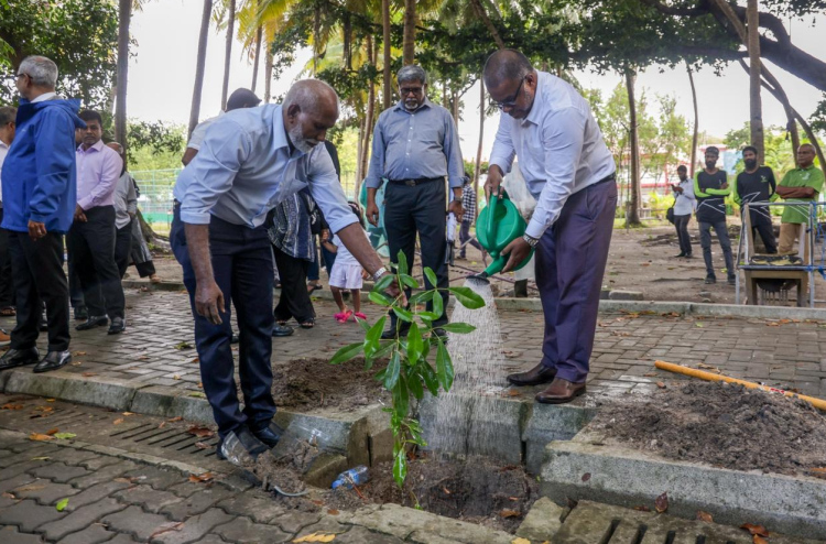 ފަސް މިލިއަން ގަސް ޕްރޮގްރާމްގައި ބޭނުންކުރަން ފެންދޭ 20 އުޅަނދު ހޯދަނީ