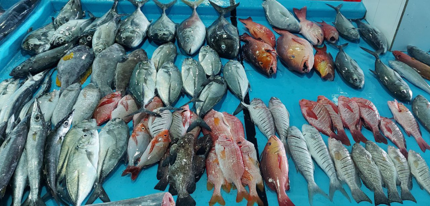 މިއަހަރުގެ ހަތަރުވަނަ މެރިން ހެޗަރީ ސްކިލްސް ޑިވެލޮޕްމަންޓް ޕްރޮގްރާމުގައި ބައިވެރިވުމުގެ ފުރުސަތު ހުޅުވާލައިފި