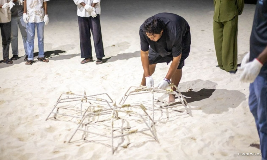 ދިރާގާއި ސޮނޭވާ ގުޅިގެން މުރަކަ އާލާކުރުމުގެ މަޝްރޫޢެއް
