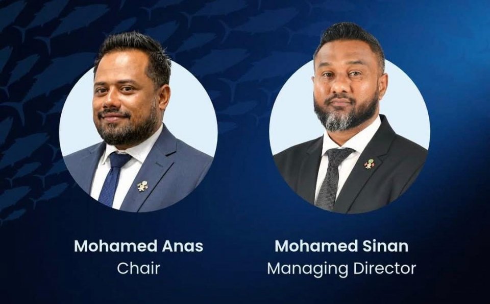 އެގްރޯނެޓްގެ ޗެއާމަނަކަށް އަނަސް، އެމްޑީއަކަށް ސިނާން