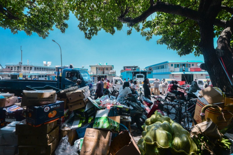 ދެ ސައިކަލު ޖެހި އެކަކަށް އަނިޔާތަކެއް؛ އެއް ސައިކަލު ދުއްވީ ލައިސެންސް ނެތް ބިދޭސީއެއް
