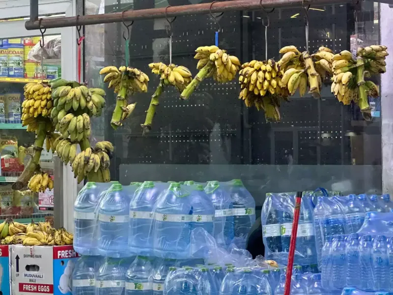 ވިއްކަން ބަހައްޓާ މުދަލުގައި އަގު ނުޖަހާ ވިޔަފާރިތަކާމެދު ފިޔަވަޅު އަޅަނީ