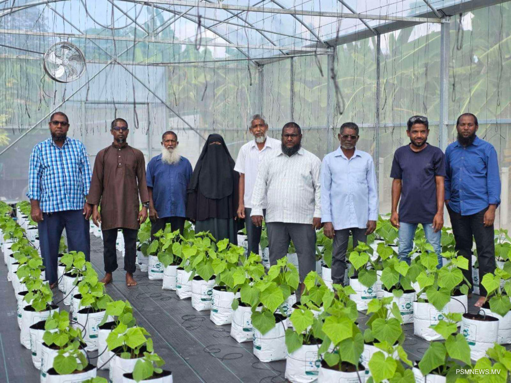އިންވެސްޓުމަންޓާއި ޤާނޫނުތަކާއެކު ދަނޑުވެރިކަން އިތުރު ހަރުފަތަކަށް