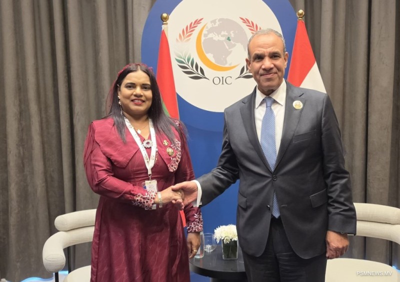 ވަޒީރު އިރުތިޝާމް، މިސްރުގެ ޚާރިޖީ ވަޒީރާ ބައްދަލުކުރައްވައިފި