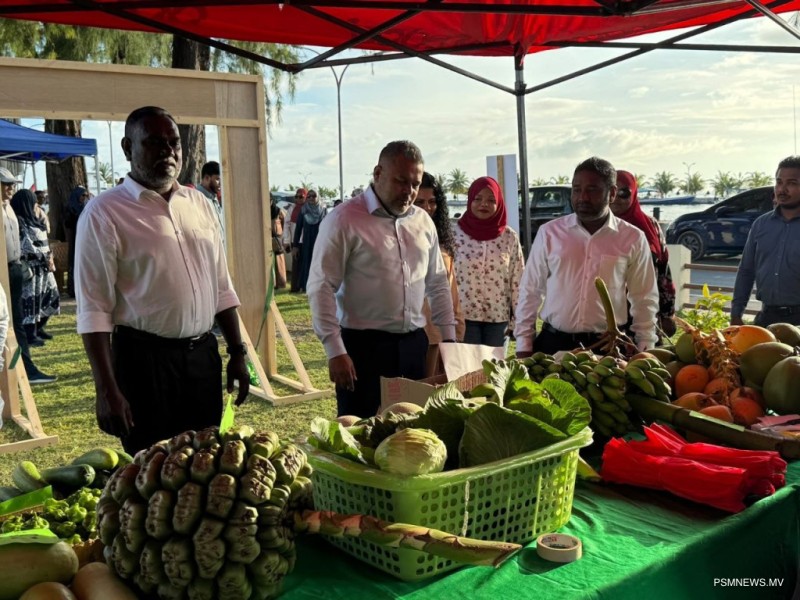 އައްޑޫ މީދޫގައި "ދަނޑުވެރިންގެ މާރުކޭޓު" ހުޅުވައިފި