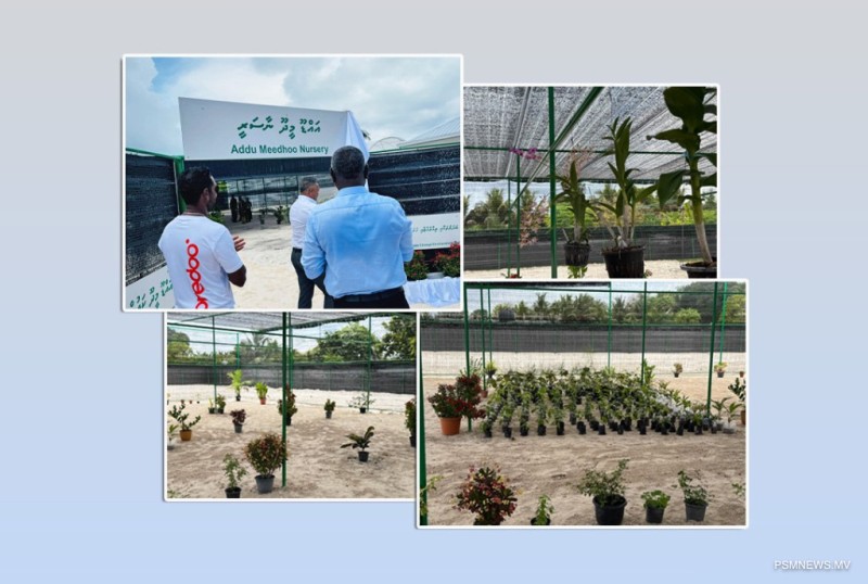 5 މިލިޔަން ގަސް ޕްރޮގްރާމްގެ ދަށުން އައްޑޫ މީދޫގައި ނާސަރީއެއް ހުޅުވައިފި